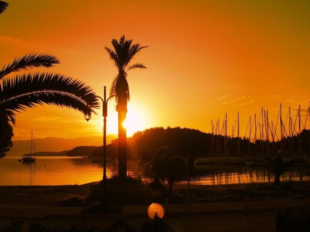 Картинка Oscar (Nidri) 3*