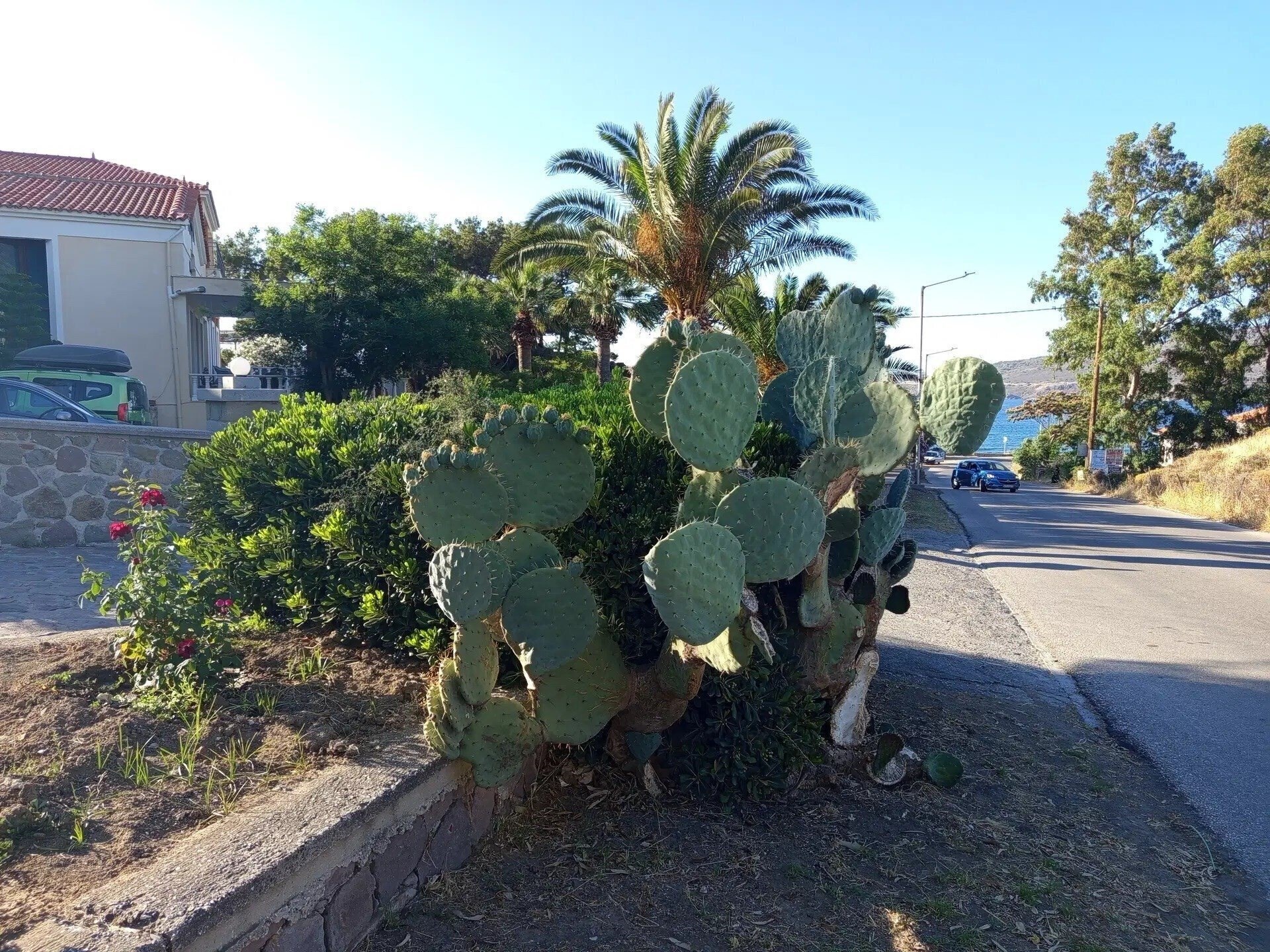 Фотография Rafael Studios 2*