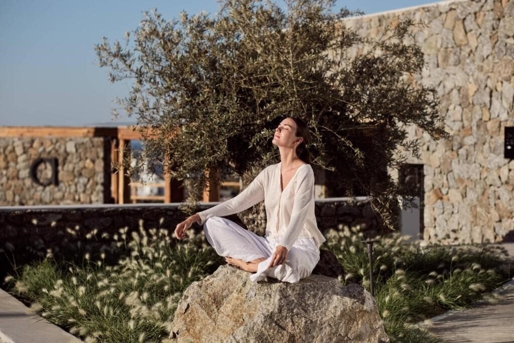 Anemelia Hotel Mykonos 5* суреті