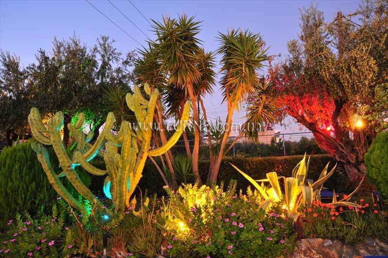 Изображение Argiro Village 2*