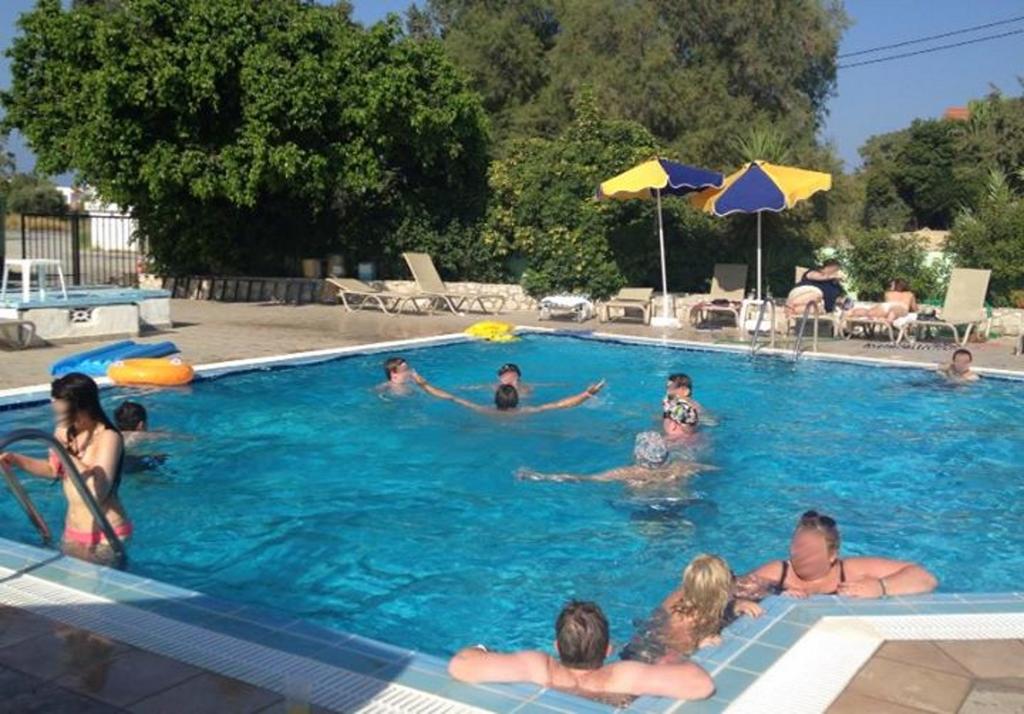 Millenium Studios 3* суреті