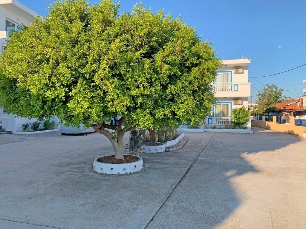 Фотография Apollonio Studios 2*