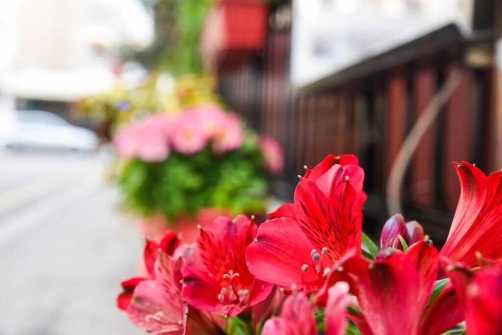 Vassilia Hotel 2* фотосуреті