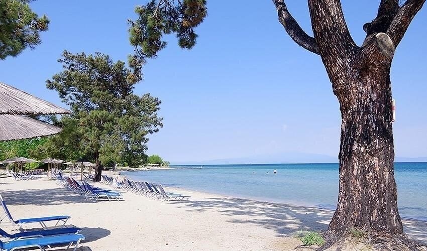 Фото Rachoni Amazing 3*