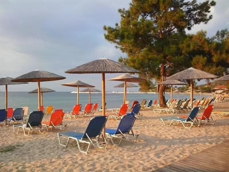 Фотография Rachoni Amazing 3*