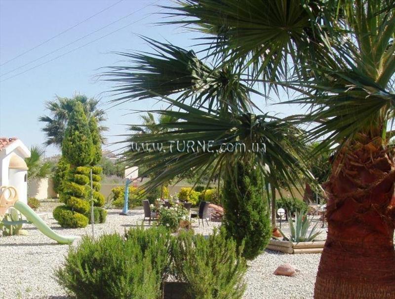 Фото Paradise Apartments 2*