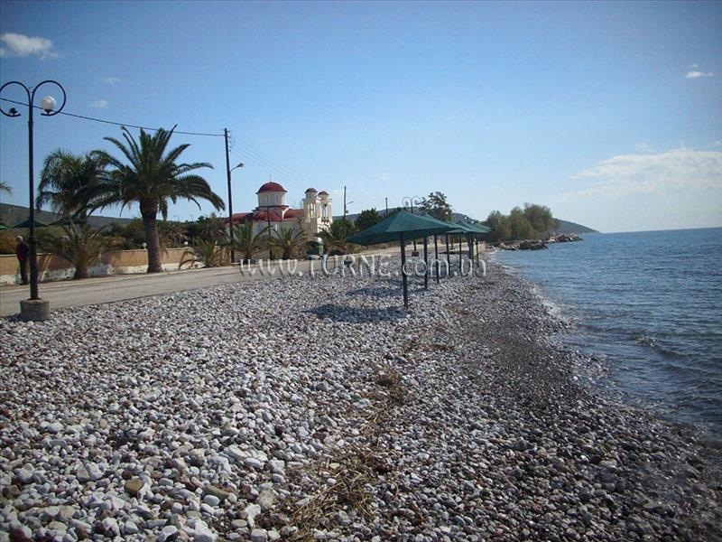 Iria Beach Hotel 3* суреті