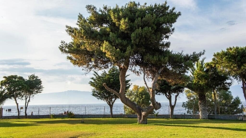 Punda 4 Seasons 3* қонақ үйі