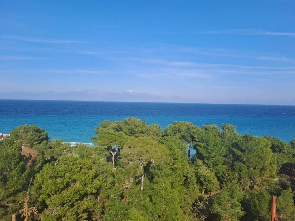 Evita Blue 4* фотосуреті