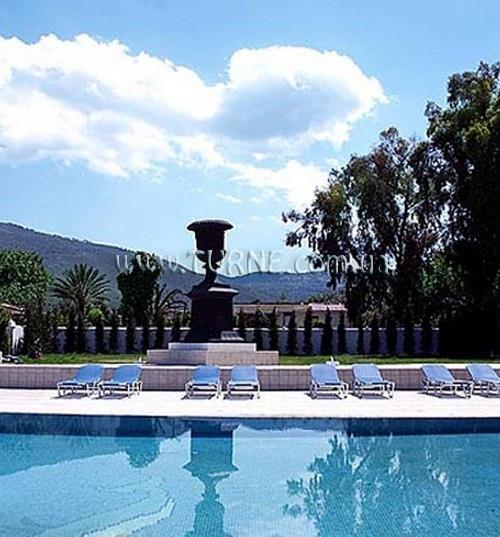 Фотография Dolphin 3*