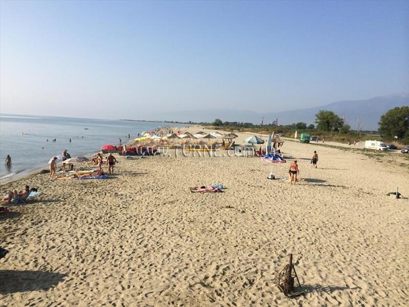 Parthenon Art Olympic Beach 2* суреті