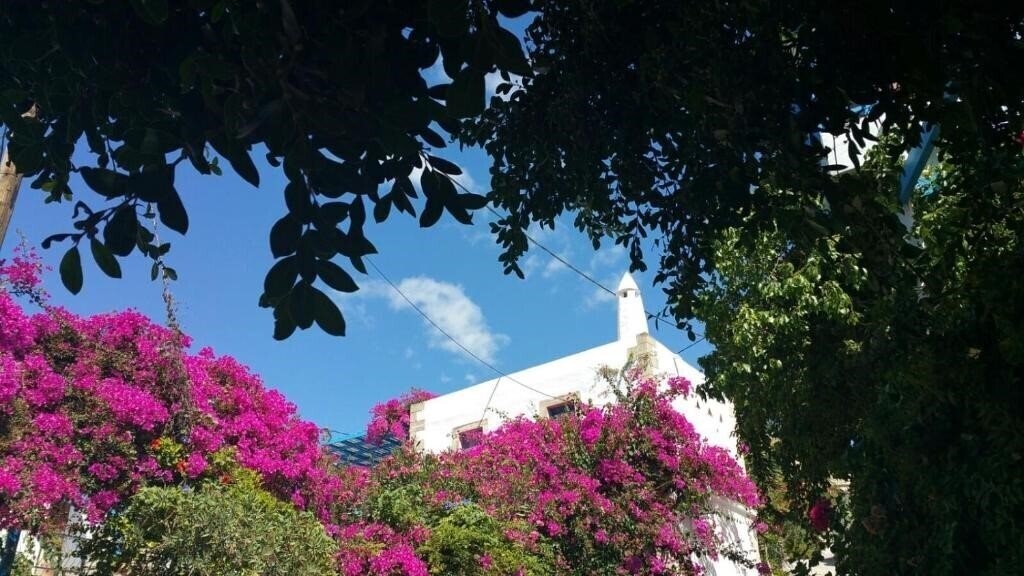 Xenonas отель без категории қонақ үйі