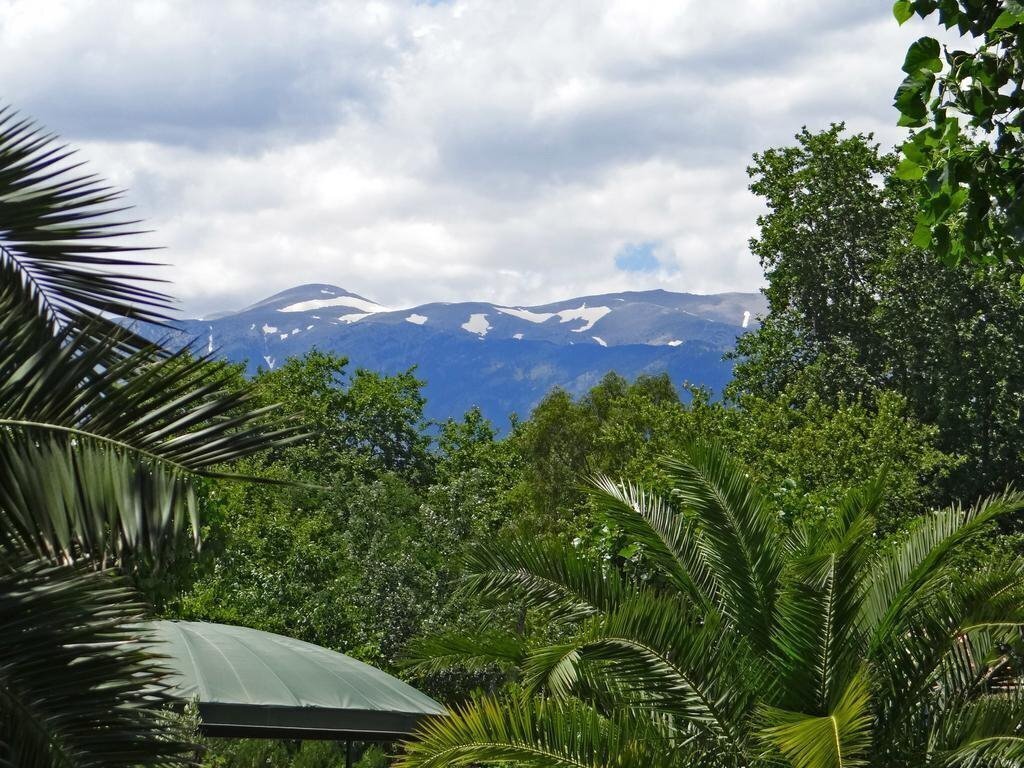 Картинка Cronwell Platamon Resort (ex. Cronwell Platamon Family Resort ) 5*