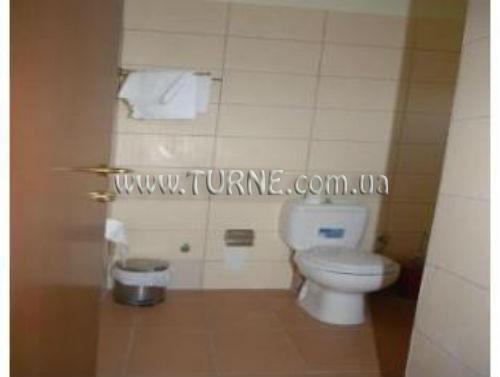 Изображение Rex 2*