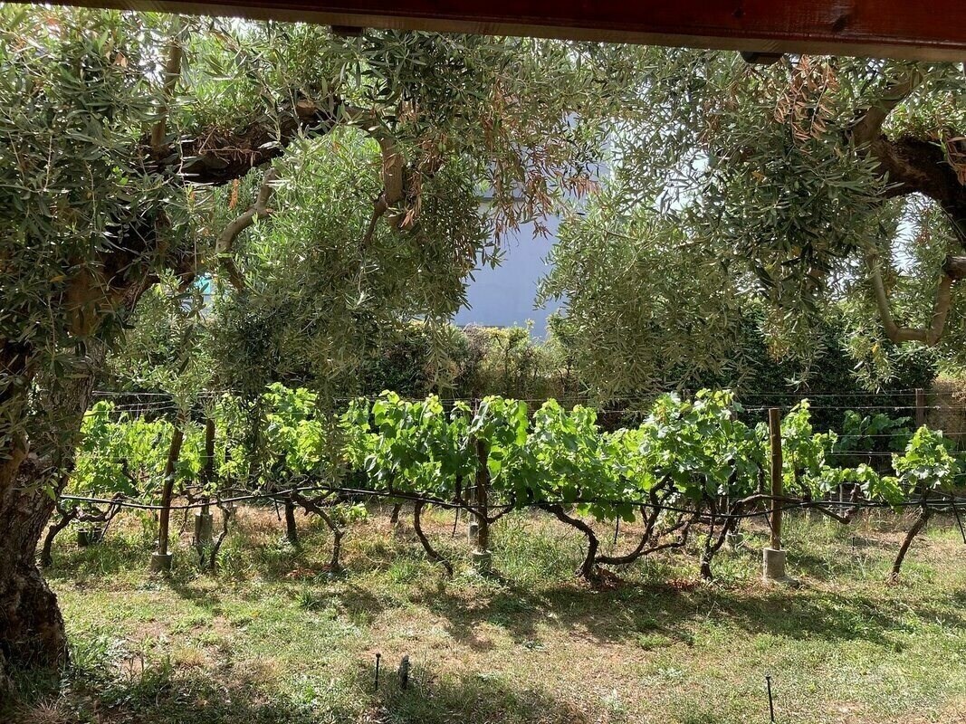 Изображение Marthas Haus 4*