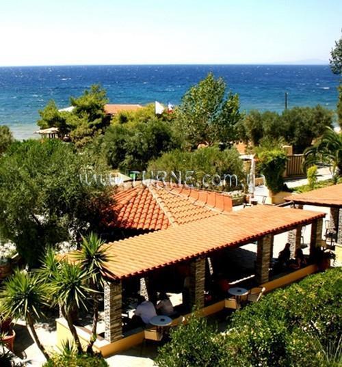 Фото Elea Village 3*