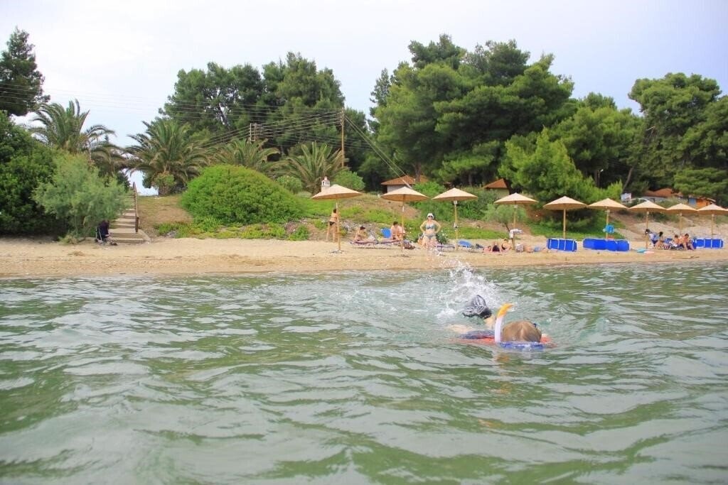 Olympic Bibis Hotel 2* суреті