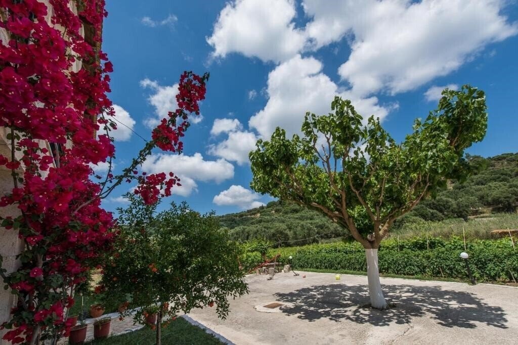 Pension Porto Tsi Ostrias 3* фотосуреті