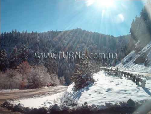 Фото Victoria 4*