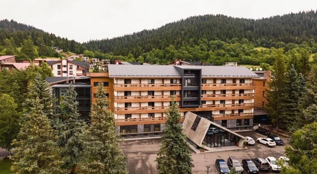 Отель Bakuriani Inn 3*