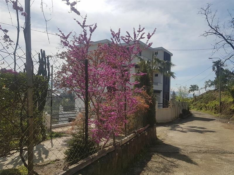 Holiday House Green Cape Batumi 3* қонақ үйі
