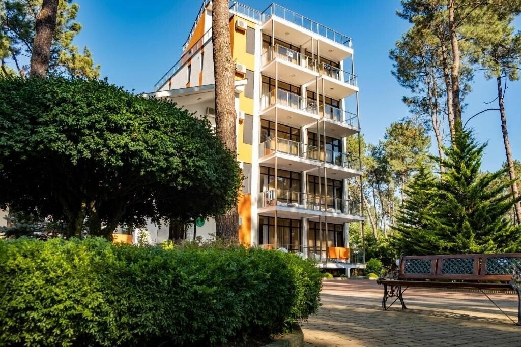 Buxus Hotel Shekvetili 4* суреті