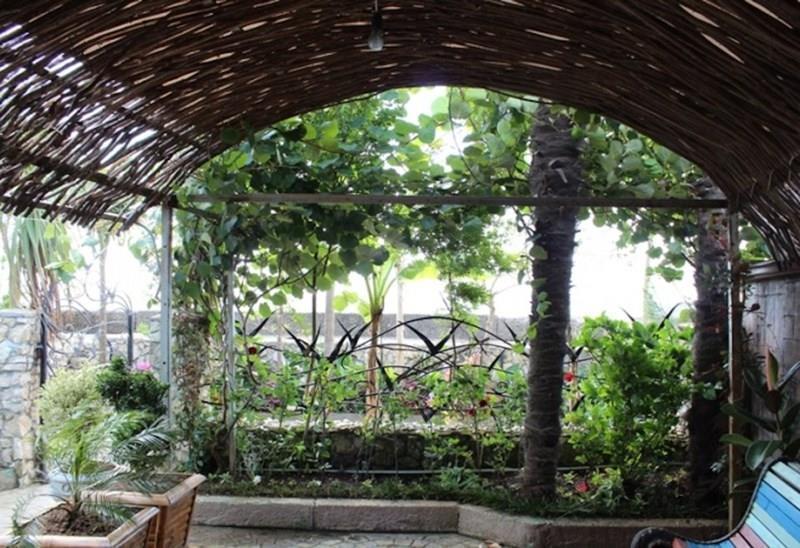 Talga 4* суреті