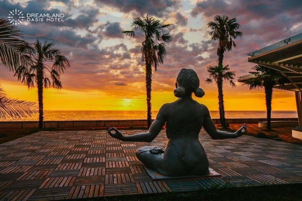 Dreamland Oasis in Chakvi 4* суреті