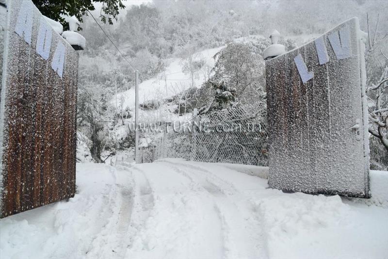 Hotel Livada 3* қонақ үйі