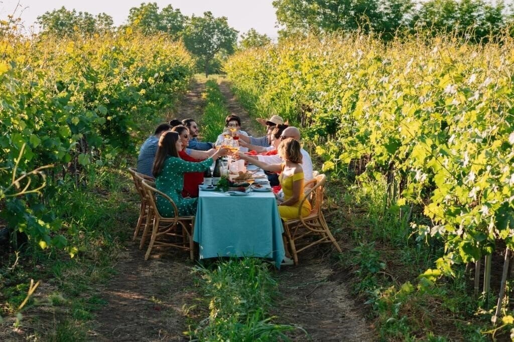 Отель Vazisubani Estate 5*