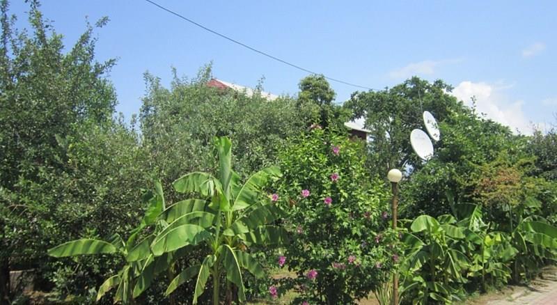 Mirage Aprt апартаменты фотосуреті