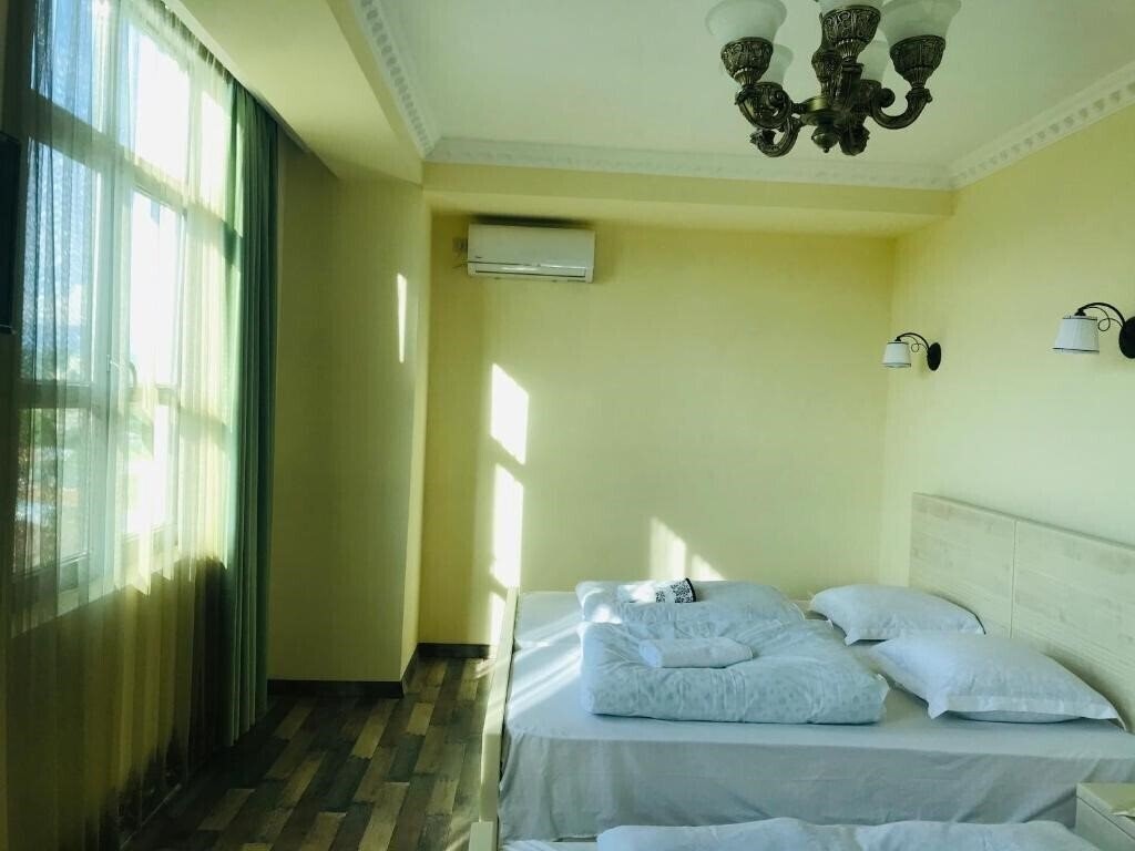 Отель Hotel Gora 3*
