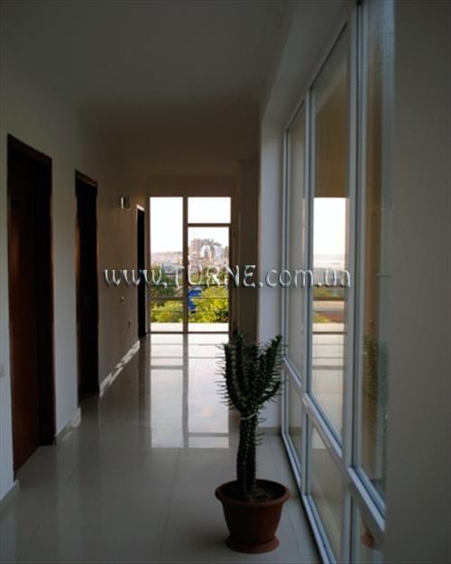 Лазури 3* суреті