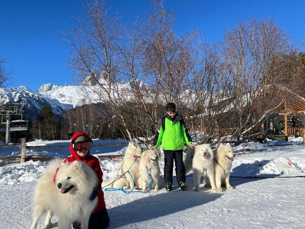 Hotel Shgedi Mestia 4* қонақ үйі