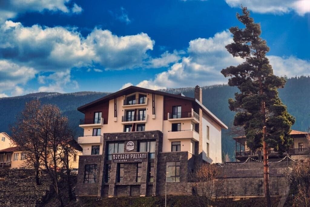 Фотография Hotel Paliani 3*