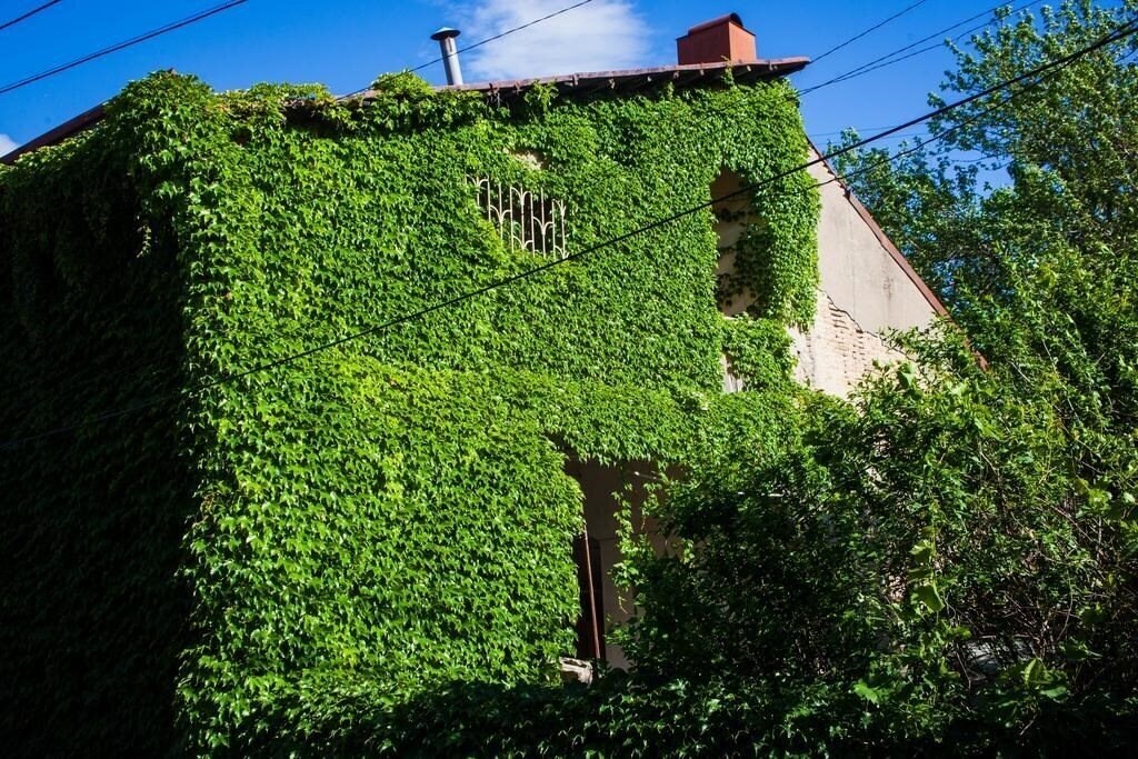 Hotel Flamingo 3* фотосуреті