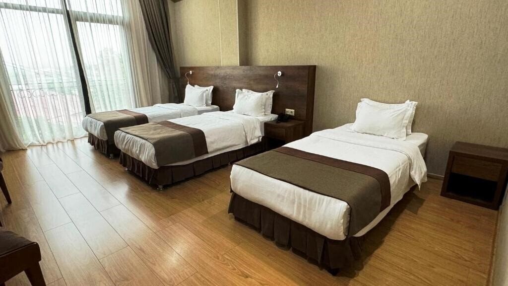 Hotel Metekhi Line 4* суреті