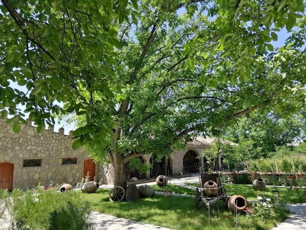 Chateau Fort De Manavi 4* суреті