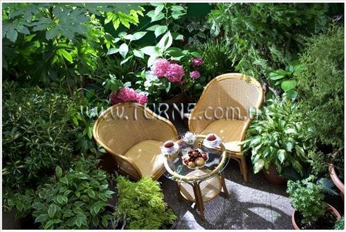 British House 4* суреті