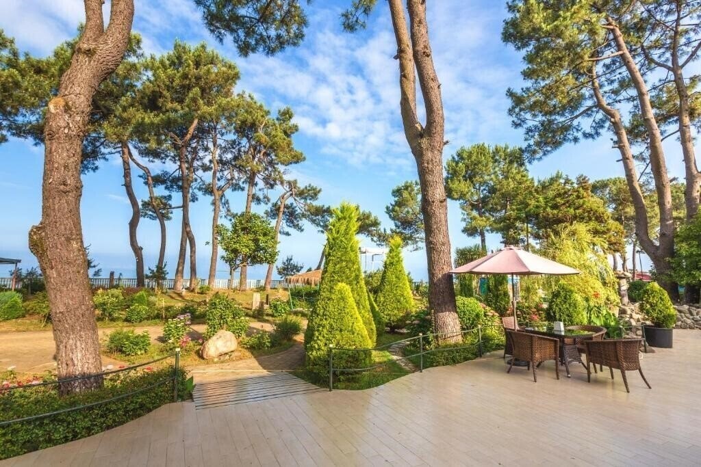 Kolkhida 4* фотосуреті