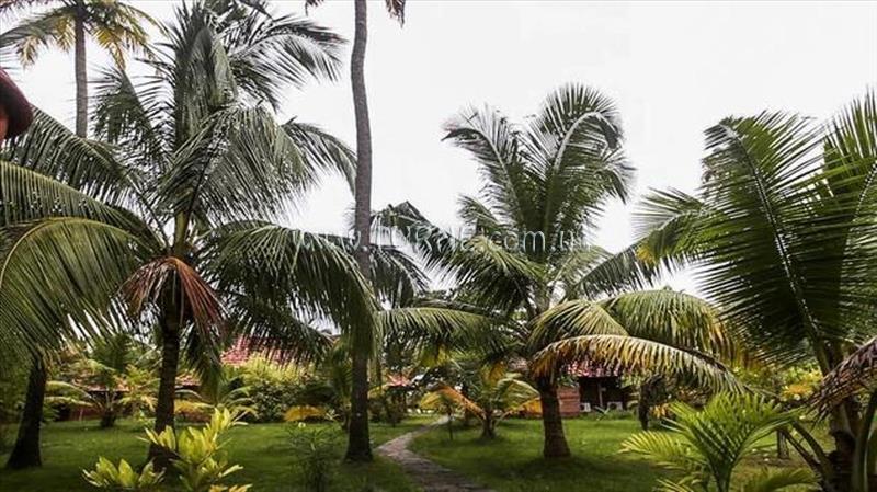 Фотография Kondai Lip 2*