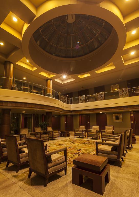 Vesta International 4* суреті