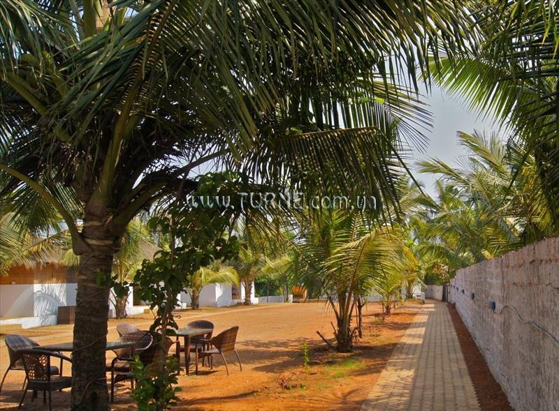 Pam Pirache Morjim 2* суреті