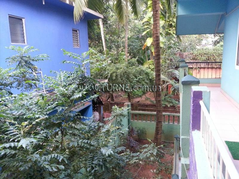 Nelmar Nest 1* суреті