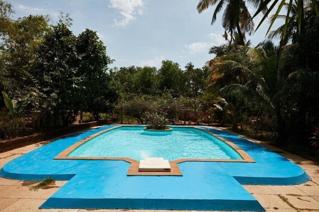 Отель Jamboree Creek Resort 3*