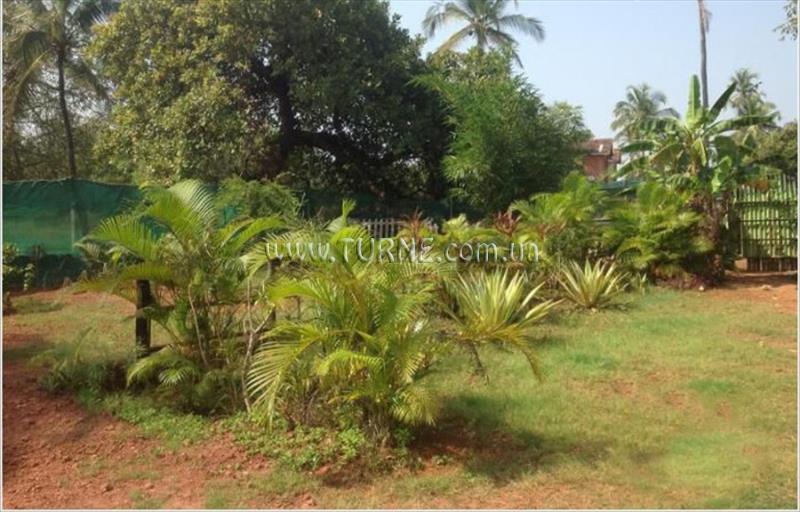 Edem Garden Resort 2* суреті