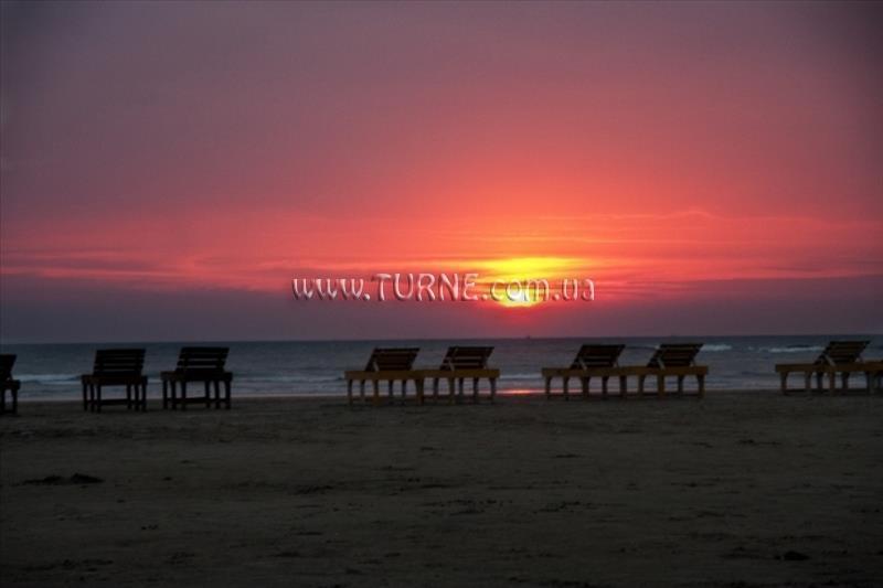 Morjim Resort 3* суреті