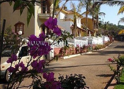 Фото Aguada Anchorage 4*