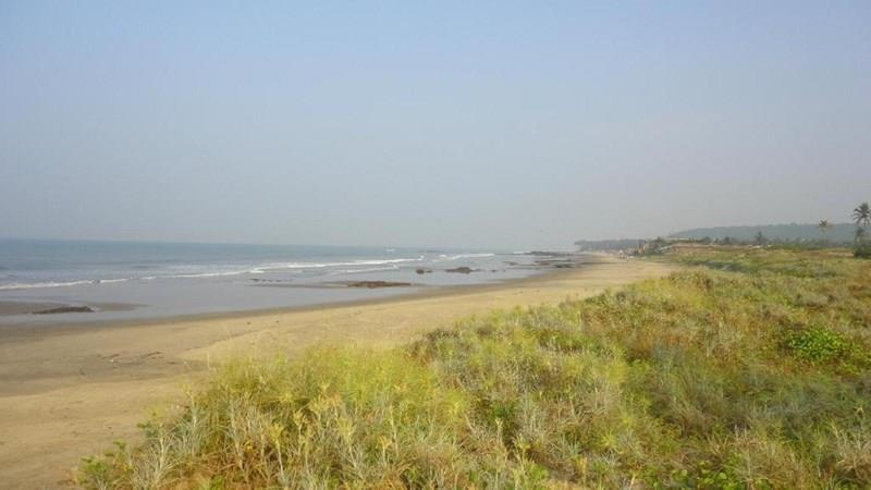 Morjim Grand Inn (ex. New Morjim Club Resort) 3* суреті