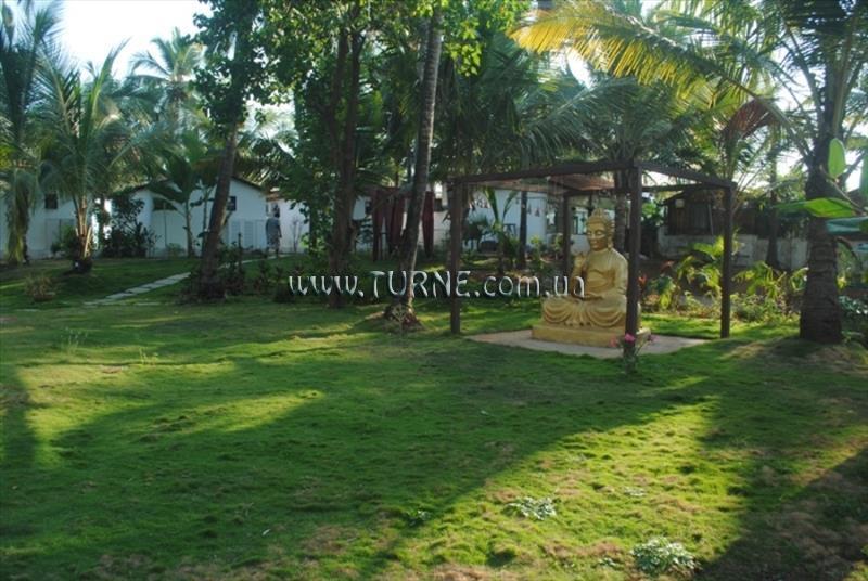 Micasa Beach Resort 3* суреті